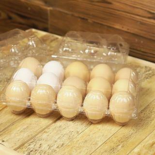 Shaffof plastik tuxum fleykasi (15 dona uchun)